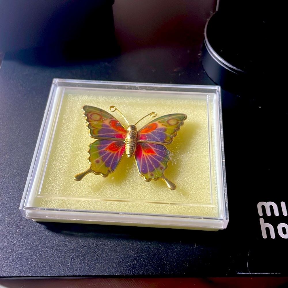 Beautiful Butterfly pin - Picture 4 of 4